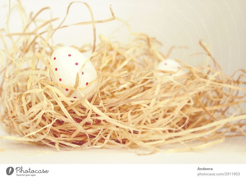 White Easter eggs with red dots in straw Decoration Blonde Bright natural Round Dry Calm Beginning Religion and faith Egg Straw Spotted Point Colour photo