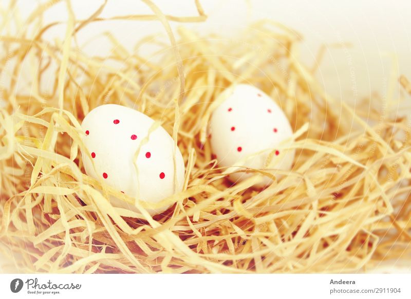 Two white Easter eggs with red dots in the straw spring Decoration Religion and faith Bright Beige Pastel tone Egg Point Spotted Straw Lie Calm Public Holiday