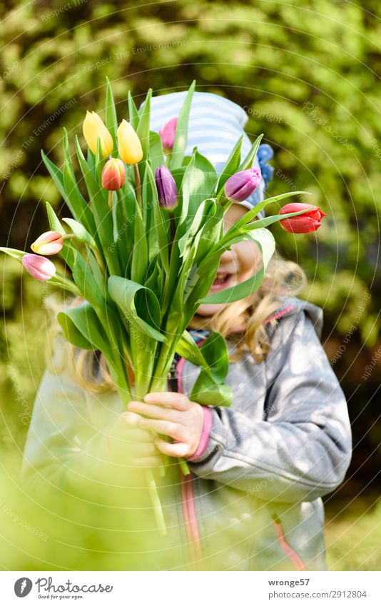 Flowers on Mother's Day Human being Child Girl 1 3 - 8 years Infancy Tulip Multicoloured Joy Happy Happiness Spring fever Bouquet Tulip blossom Spring colours