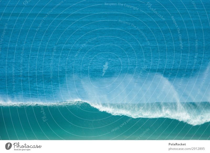 #A# Wavebeat Art Esthetic Waves Swell Ocean Surfing Surfer Surfboard Surf school Fuerteventura Colour photo Multicoloured Interior shot Studio shot Close-up