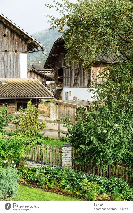 Old farmhouses and cottage gardens in a mountain valley in South Tyrol Agriculture Alpine Alps Alto Adige Apple Architecture Barn Building Farm Fence Garden