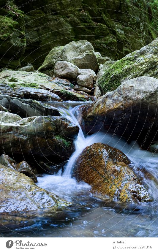 to go with the flow Environment Nature Elements Water Summer Moss Rock Alps Mountain Canyon Brook River Waterfall Stone Sharp-edged Fluid Wet Natural Clean Blue