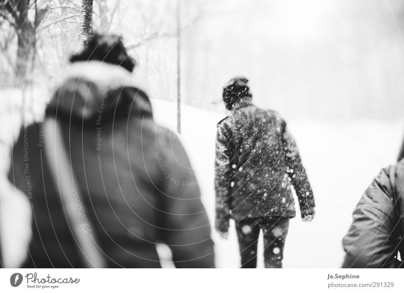 coldest To go for a walk Winter Seasons Weather Snowstorm Snowfall Adults Rear view Coat Cap Going Walking Cold Gloomy lensbaby Black & white photo