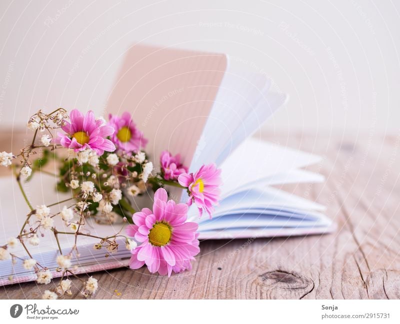 Spring flowers on a book Lifestyle Mother's Day Birthday Flower Blossom Book Diary Bouquet Fragrance Lie Fresh Beautiful Pink Spring fever Creativity