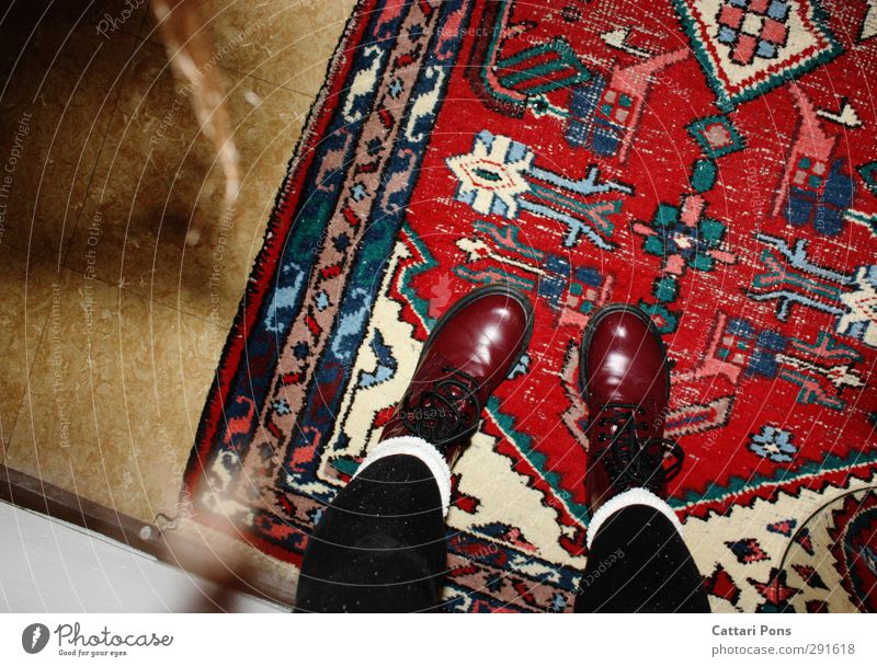 the CarpetFloor Stockings Tights Cloth Varnish Footwear Boots lace-up boots Lie Stand Simple Red Floor covering Tile Colour photo Interior shot Artificial light