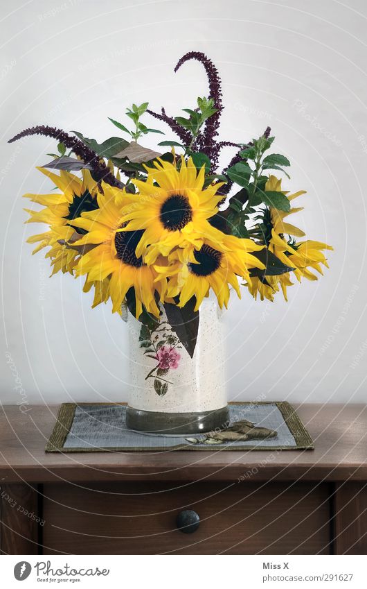 I need more summer Decoration Summer Flower Leaf Blossom Blossoming Fragrance Yellow Sunflower Bouquet Table decoration Country house country house style