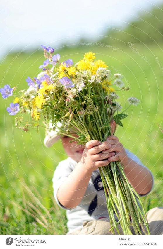 Photocase needs more summer Human being Baby Toddler Infancy 1 1 - 3 years Spring Summer Flower Grass Leaf Blossom Garden Meadow Blossoming Smiling Laughter