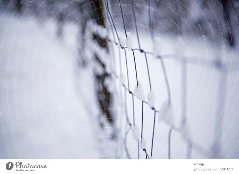 snow Environment Nature Winter Bad weather Snow Garden Cold Blue White Wire Wire fence Colour photo Subdued colour Exterior shot Close-up Deserted