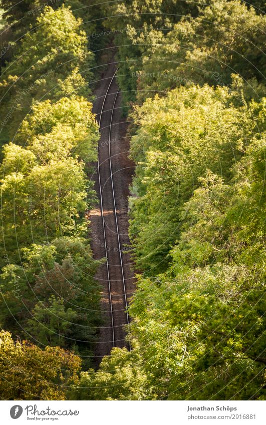 Railway tracks in the forest Environment Nature Landscape Transport Means of transport Traffic infrastructure Public transit Logistics Train travel