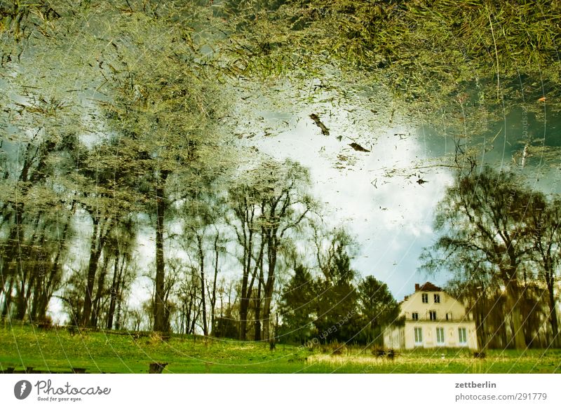 Sacrow April Berlin Relaxation Spring Garden Park Forest Forest walk Lake Pond Surface of water Reflection Castle Farmhouse House (Residential Structure) Villa