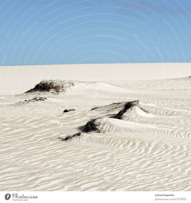 Nothing as sand Environment Nature Landscape Elements Earth Sand Sky Beautiful weather Drought Island Fuerteventura Desert Dune Blue Adventure Fear Loneliness
