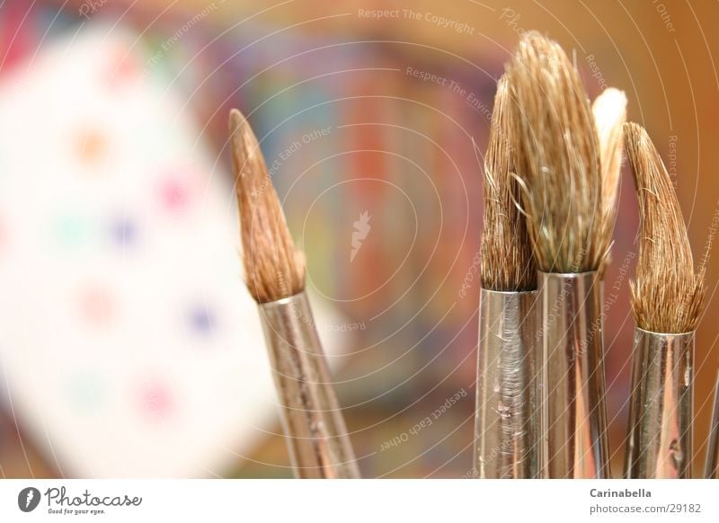 brush Paintbrush Watercolor Craft (trade) Painting (action, work) Colour brush hairs painting studio
