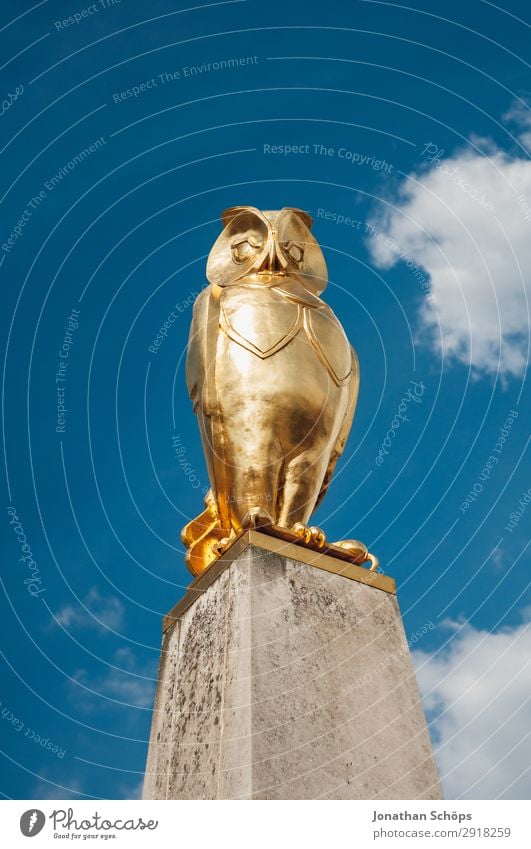 golden statue of an owl in Leeds as city symbol Art Work of art Sculpture Town Gold England Great Britain leeds Owl birds Statue Sculptural Blue sky City emblem