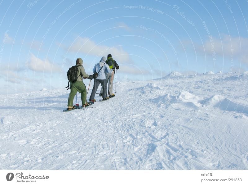 Snowshoeing in the Finnish cold Vacation & Travel Trip Adventure Winter Winter vacation Human being 3 Group Landscape Wind Sports Hiking Together Infinity Blue