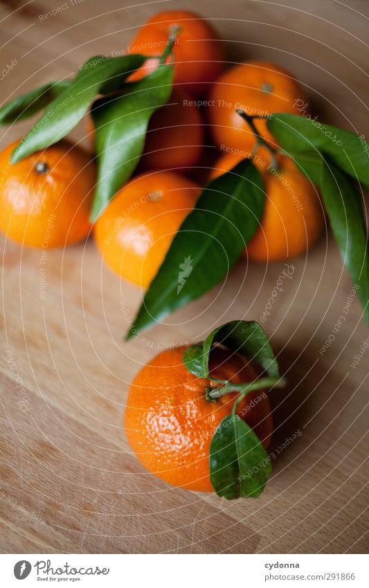 orange Food Fruit Orange Nutrition Organic produce Healthy Healthy Eating Life Advice Expectation Exotic Colour Uniqueness Nature Quality Beautiful Growth