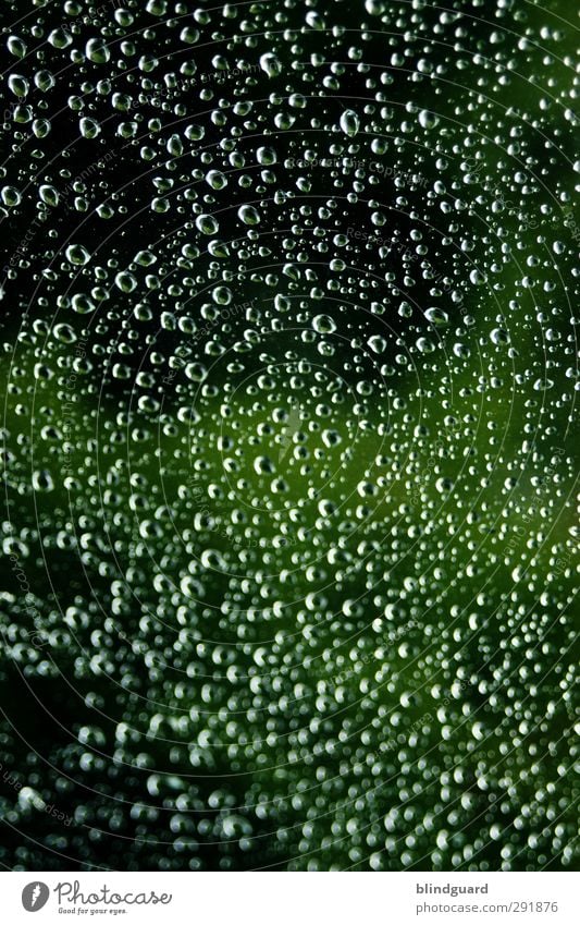 Rhythm Of The Rain Glass Water Wet Green White Drop Drops of water Dripping Rainwater Window pane Colour photo Interior shot Deserted Day Light Shadow Contrast