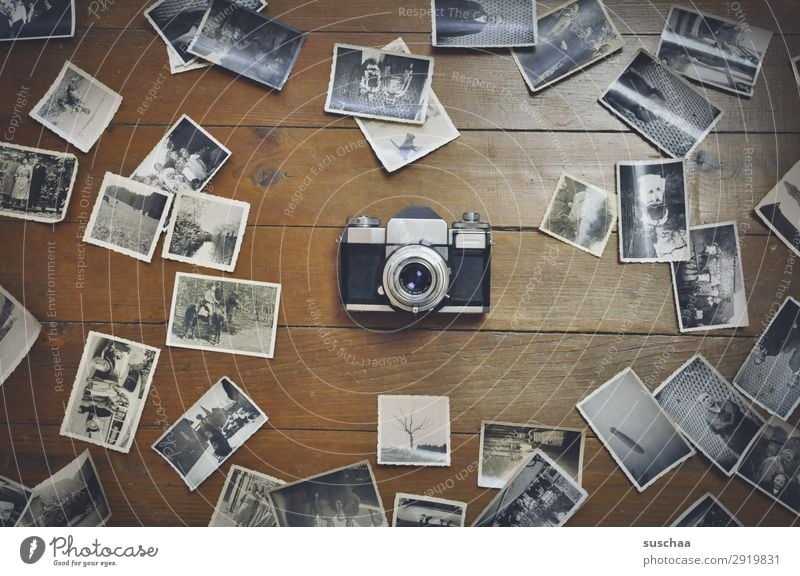 old photos Photography Negative Old Black & white photo Take a photo Analog Memory Nostalgia Grief family album Past Transience Infancy Childhood memory Legacy