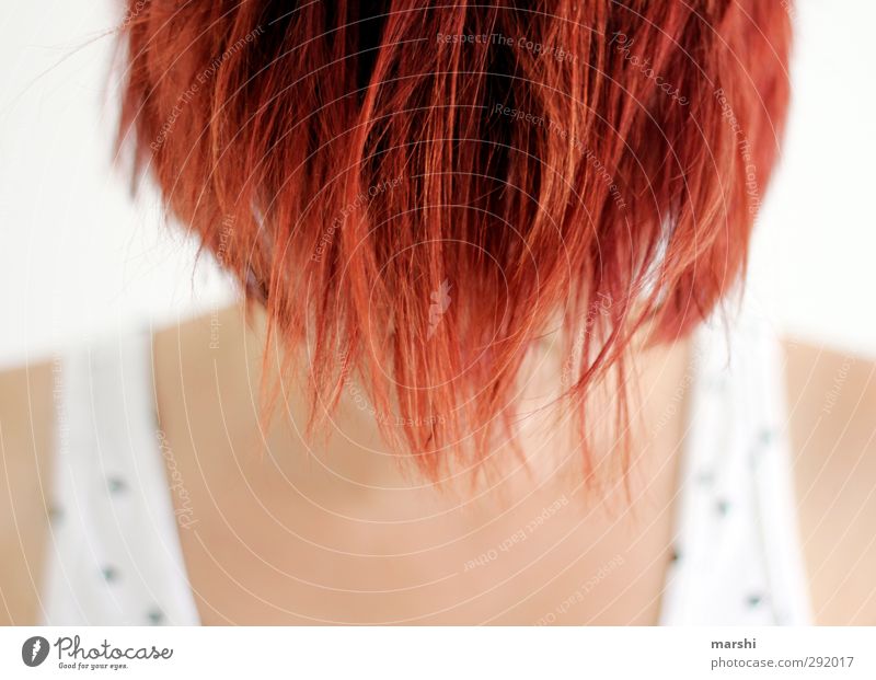 the devil in you Human being Feminine Head Hair and hairstyles 1 Red Emotions Moody Red-haired Devil Evil Short-haired Shallow depth of field Colour photo