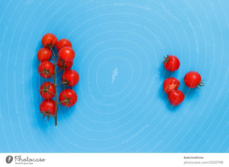 Cherry tomatoes on a blue background Vegetable Vegetarian diet Diet Fresh Bright Above Blue Red cherry tomatoes Ingredients Raw Minimalistic Conceptual design