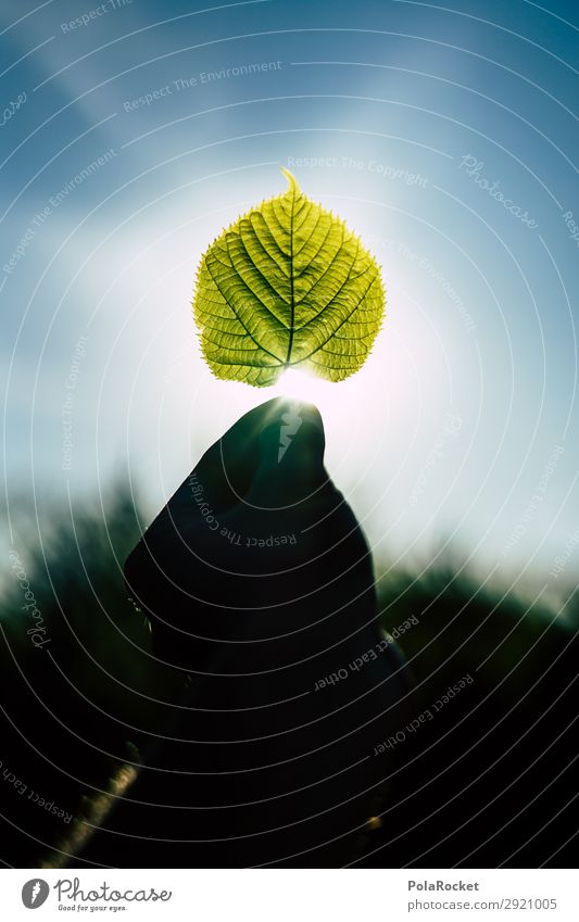 #S# Green III Environment Nature Landscape Climate Climate change Esthetic Leaf Leaf green Rachis Structures and shapes Wonder Environmental protection Sunbeam
