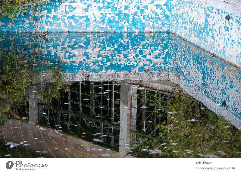 Tetris mirror Ruin Old Uninhabited Swimming pool Water Surface of water Reflection Derelict Loneliness Historic Mosaic Tile Putrefy Bushes Manmade structures