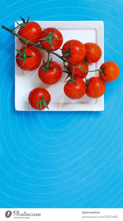 Cherry tomatoes on a blue background Vegetable Vegetarian diet Diet Fresh Bright Above Blue Red cherry tomatoes Ingredients Raw Minimalistic Copy Space