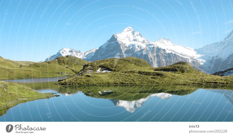 Swiss idyll Trip Summer Mountain Nature Landscape Water Sky Autumn Alps Blue Green Bach alps lake Grindelwald Reflection Snowcapped peak Colour photo