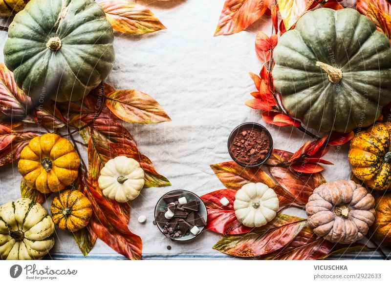 Autumn background with pumpkins, chocolate, nuts Food Chocolate Style Design Joy Thanksgiving Hallowe'en Nature Still Life Background picture Pumpkin