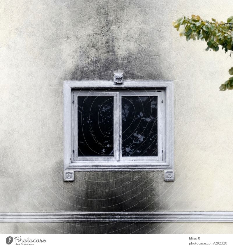 Old houses | Burning down the house Fire Wall (barrier) Wall (building) Facade Window Blaze house fire Soot Colour photo Subdued colour Exterior shot Deserted