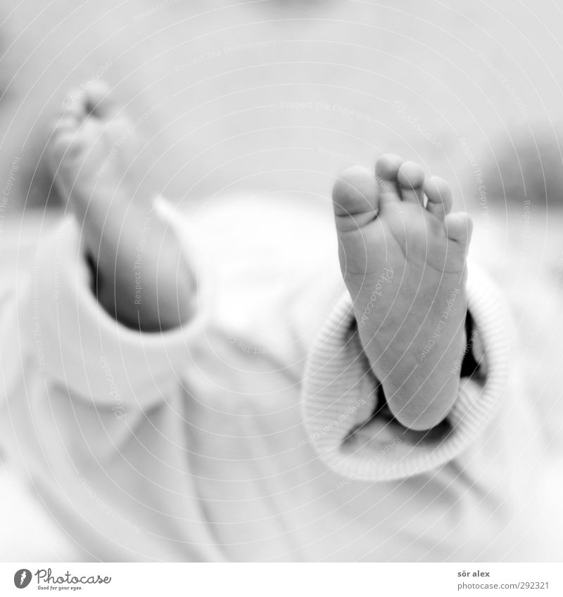 Feet that don't walk yet Human being Baby Brothers and sisters Infancy Life Toes 1 0 - 12 months Emotions Moody Happy Joie de vivre (Vitality) Considerate