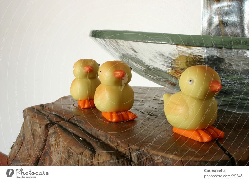 Easter ducks marzipanenten Duck duck migration