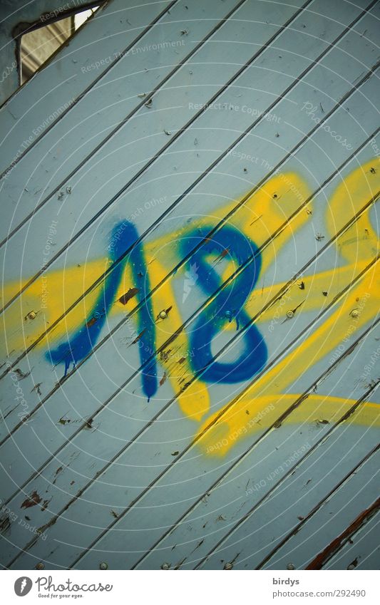 finally 18 Door Digits and numbers Authentic Hip & trendy Positive Trashy Blue Yellow Enthusiasm Longing Senior citizen Joie de vivre (Vitality) Future Adults