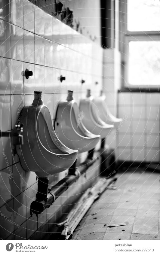 dummy Interior design Bathroom Ruin Old Broken Black White Decline Shack Toilet Urinal Black & white photo Interior shot Day Contrast Shallow depth of field