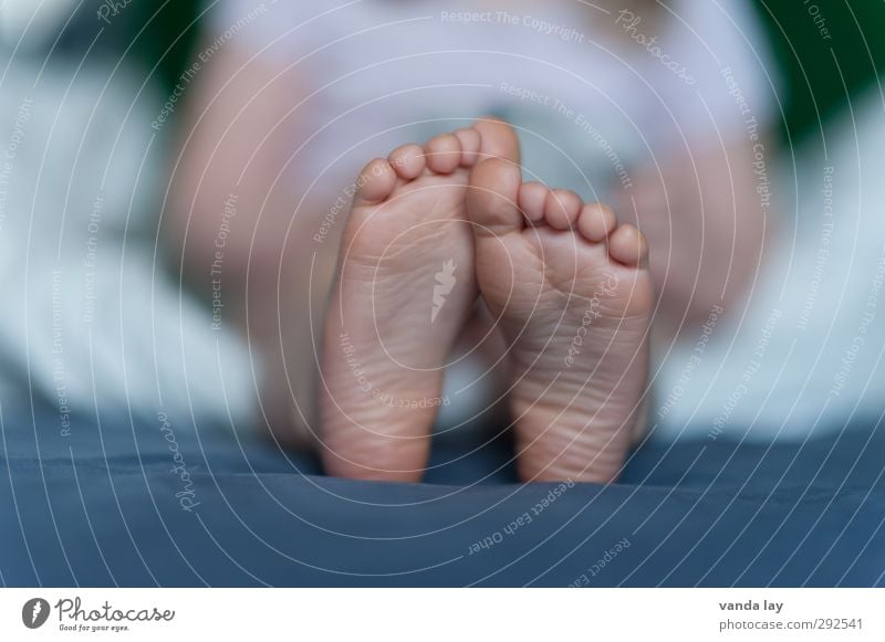 children's feet Child Feet 1 Human being 1 - 3 years Toddler Infancy Children's foot Sole of the foot Toes Bed Detail Skin Colour photo Interior shot Deserted