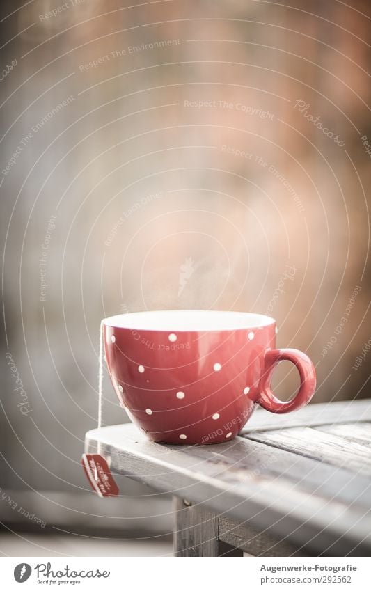 teatime Food Beverage Hot drink Tea Crockery Cup Healthy Table Relaxation To enjoy Drinking Feminine Calm Red Point Colour photo Exterior shot Day