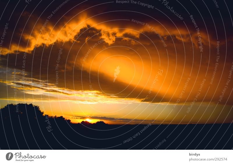 unsuccessful cease and desist attempt Elements Storm clouds Horizon Sun Sunlight Summer Illuminate Esthetic Exceptional Threat Fantastic Warmth Orange Black