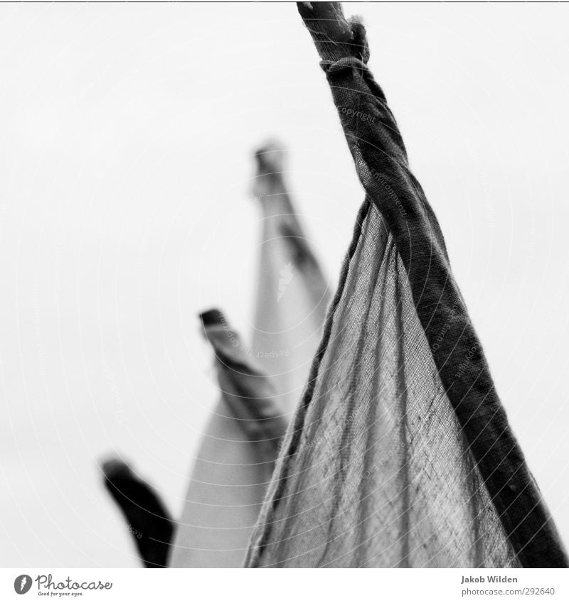 Flags in the wind Design Decoration Wood Contentment Longing Homesickness Black & white photo Exterior shot Detail Abstract Pattern Structures and shapes
