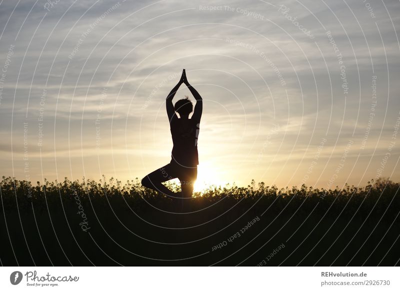 Yoga at sunset Sports Fitness Sports Training Human being Feminine Young woman Youth (Young adults) 1 30 - 45 years Adults Environment Nature Landscape Sky Sun