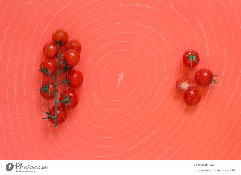 Cherry tomatoes on a coral red background Vegetable Vegetarian diet Diet Fresh Bright Above Red cherry tomatoes Ingredients Raw Minimalistic Conceptual design