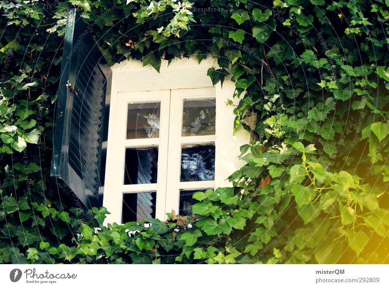 Windows? Art Esthetic Bushes Shutter Romance White Green Garden Leaf Ivy Window transom and mullion View from a window Monstera Forget Surrealism Fantastic