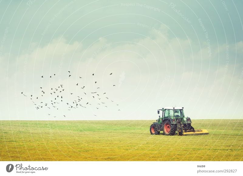Full of farming Summer Work and employment Agriculture Forestry Machinery Technology Environment Nature Landscape Sky Horizon Beautiful weather Meadow Field