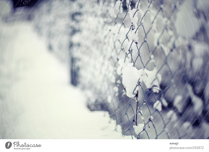 clingy Environment Nature Winter Snow Garden Park Cold Blue White Fence Wire netting Wire netting fence Colour photo Exterior shot Close-up Deserted Day