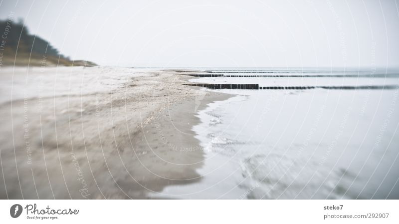 winter beach Winter Waves Coast Beach Baltic Sea Ocean Gloomy Gray Loneliness Calm Break water Zingst Subdued colour Exterior shot Deserted Copy Space right