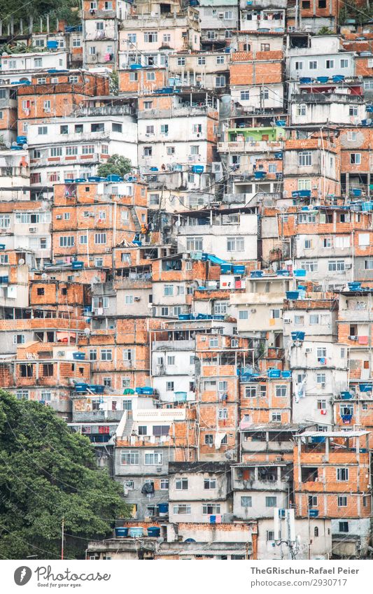 favela Town Populated Blue Brown Orange Red Black Silver White Rio de Janeiro Poverty Intoxicant gang war favelas outcast Barred Arm