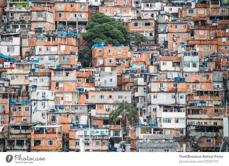 favela Town Blue Brown Orange Black White Rio de Janeiro Brazil House (Residential Structure) Poverty Window Intoxicant War Palm tree Door Colour photo Deserted