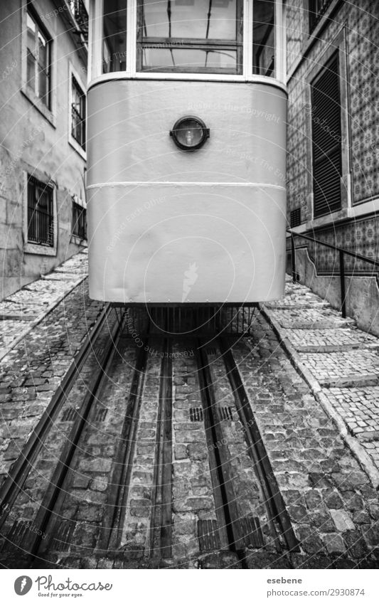 Typical Lisbon tram Vacation & Travel Tourism Summer 18 - 30 years Youth (Young adults) Adults Downtown Building Architecture Transport Street Vehicle Car