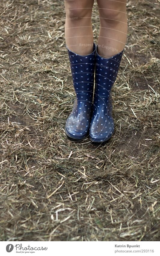 gumboots #3 Human being Legs 1 Music festival Bad weather Meadow Rubber boots Stand Colour photo Exterior shot