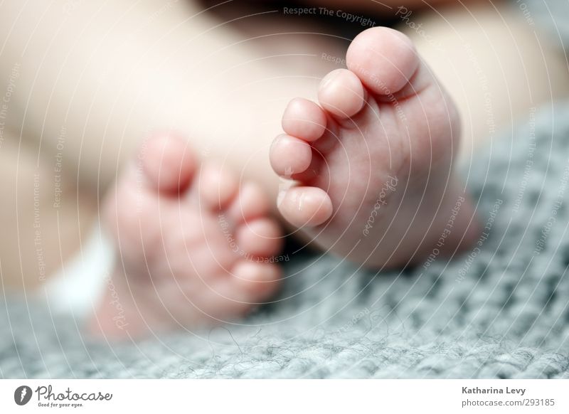 4 weeks life Human being Baby Infancy Feet Toes 1 0 - 12 months Authentic Small Naked Natural Cute Blue Gray Joie de vivre (Vitality) Beginning Life Pure Birth