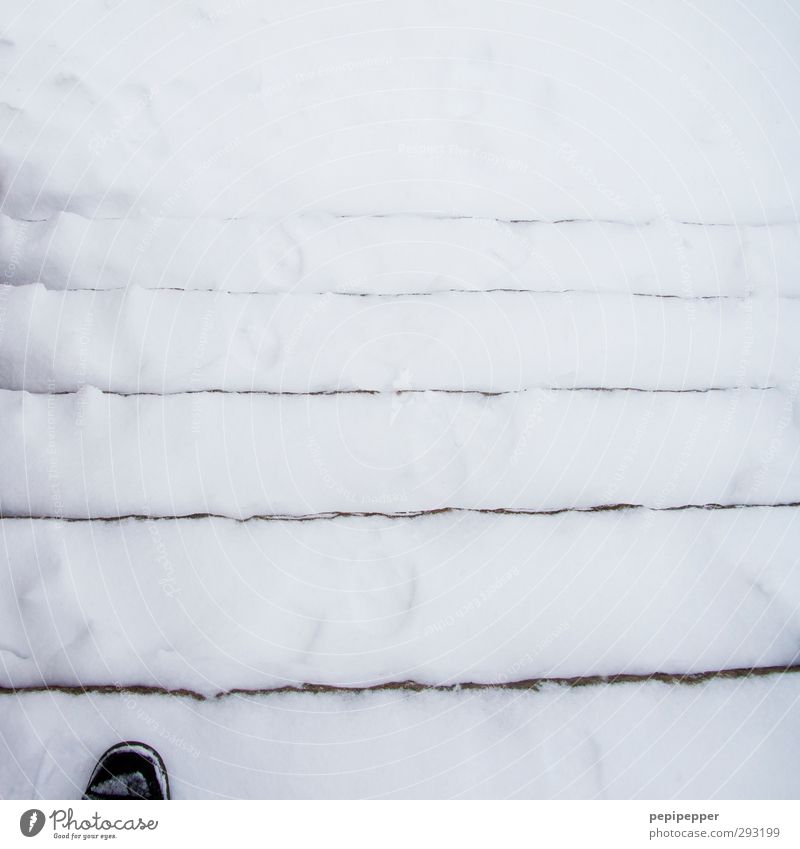 foot-steppe-snow Masculine Feet 1 Human being Winter Ice Frost Snow Stairs Pedestrian Footwear Stripe Going Black & white photo Exterior shot Day