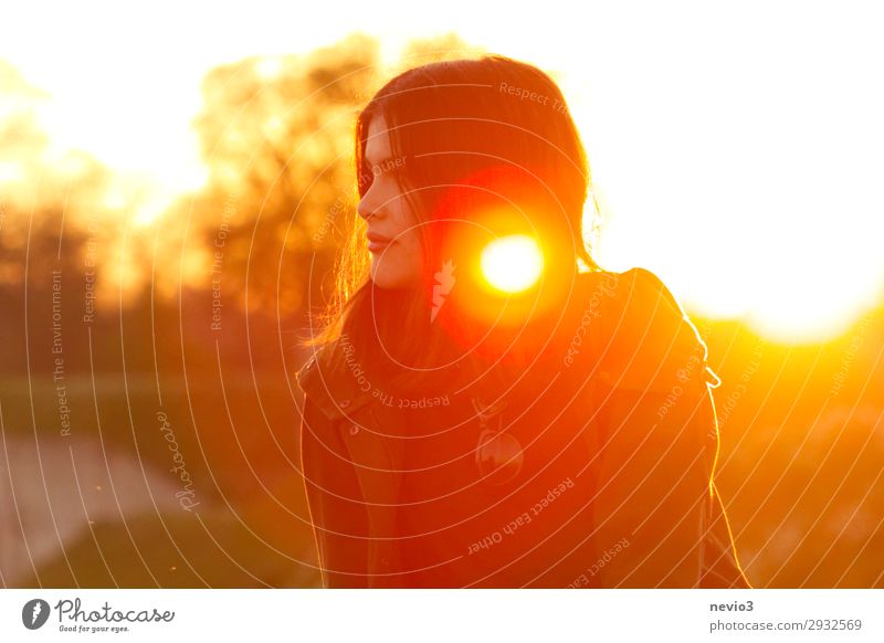 summer feelings Human being Feminine Young woman Youth (Young adults) Adults 1 13 - 18 years 18 - 30 years Landscape Sunrise Sunset Sunlight Summer